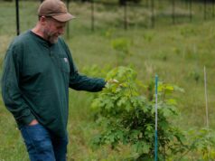 The Forest Service wants to close research hubs to save money. That could be costly | beritakitanih The Forest Service wants to close research hubs to save money. That could be costly | beritakitanih