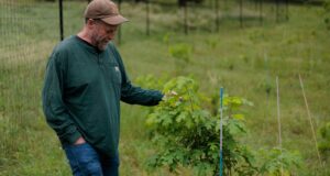 The Forest Service wants to close research hubs to save money. That could be costly | beritakitanih The Forest Service wants to close research hubs to save money. That could be costly | beritakitanih