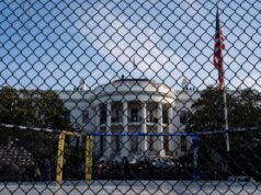 UFC at the White House preview: Expert picks, stor… | beritakitanih UFC at the White House preview: Expert picks, stor... | beritakitanih