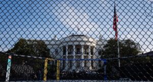 UFC at the White House preview: Expert picks, stor… | beritakitanih UFC at the White House preview: Expert picks, stor... | beritakitanih