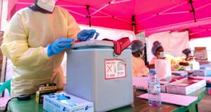 Vaksin Ebola Paling Menjanjikan Telah Dipajang Selama 15 Tahun
| beritakitanih Vaksin Ebola Paling Menjanjikan Telah Dipajang Selama 15 Tahun
| beritakitanih