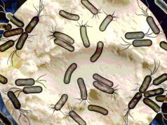 Wabah Listeria yang mematikan terkait dengan keju lunak memicu penarikan kembali produk di banyak negara bagian: Hindari daftar produk ini
| beritakitanih Wabah Listeria yang mematikan terkait dengan keju lunak memicu penarikan kembali produk di banyak negara bagian: Hindari daftar produk ini
| beritakitanih