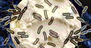 Wabah Listeria yang mematikan terkait dengan keju lunak memicu penarikan kembali produk di banyak negara bagian: Hindari daftar produk ini
| beritakitanih Wabah Listeria yang mematikan terkait dengan keju lunak memicu penarikan kembali produk di banyak negara bagian: Hindari daftar produk ini
| beritakitanih