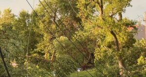 2 orang terluka akibat kemungkinan tornado di dekat Danau Detroit
| beritakitanih 2 orang terluka akibat kemungkinan tornado di dekat Danau Detroit
| beritakitanih