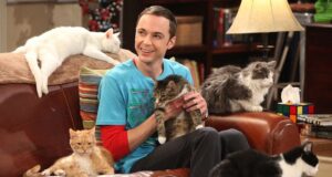 5 Big Bang Theory Spinoffs That Should Happen After Stuart Fails To Save The Universe | beritakitanih 5 Big Bang Theory Spinoffs That Should Happen After Stuart Fails To Save The Universe | beritakitanih