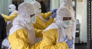 AS terus menghindari warganya yang terinfeksi Ebola; orang Amerika kedua dikirim ke Jerman
| beritakitanih AS terus menghindari warganya yang terinfeksi Ebola; orang Amerika kedua dikirim ke Jerman
| beritakitanih