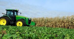 Audit menemukan kelemahan dalam program air pertanian Minnesota
| beritakitanih Audit menemukan kelemahan dalam program air pertanian Minnesota
| beritakitanih