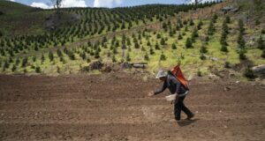 Bagaimana kekurangan pupuk dapat mempengaruhi harga pangan AS
| beritakitanih Bagaimana kekurangan pupuk dapat mempengaruhi harga pangan AS
| beritakitanih