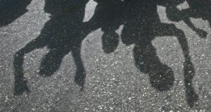 Bengaluru: Kasus pembunuhan JP Nagar dituduh ditembak di kaki saat tempat mahazar setelah dugaan penyerangan terhadap polisi
| beritakitanih Bengaluru: Kasus pembunuhan JP Nagar dituduh ditembak di kaki saat tempat mahazar setelah dugaan penyerangan terhadap polisi
| beritakitanih