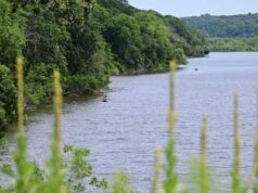 Dana penyelesaian 3M untuk perbaikan habitat, rekreasi
| beritakitanih Dana penyelesaian 3M untuk perbaikan habitat, rekreasi
| beritakitanih
