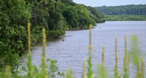 Dana penyelesaian 3M untuk perbaikan habitat, rekreasi
| beritakitanih Dana penyelesaian 3M untuk perbaikan habitat, rekreasi
| beritakitanih