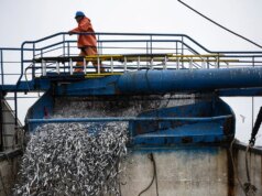 El Niño Telah Mendatangkan Malapetaka pada Perikanan Pasifik
| beritakitanih El Niño Telah Mendatangkan Malapetaka pada Perikanan Pasifik
| beritakitanih