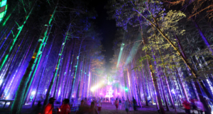 FBI Menawarkan Hadiah $15.000 untuk Bayi Baru Lahir yang Meninggal di Festival Hutan Listrik
| beritakitanih FBI Menawarkan Hadiah $15.000 untuk Bayi Baru Lahir yang Meninggal di Festival Hutan Listrik
| beritakitanih