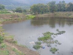 Hujan yang terus-menerus diperkirakan akan membawa aliran masuk ke Sungai Noyyal di Coimbatore
| beritakitanih Hujan yang terus-menerus diperkirakan akan membawa aliran masuk ke Sungai Noyyal di Coimbatore
| beritakitanih