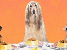 Kami Membuat Makanan Rumahan yang Lezat untuk Diri Sendiri. Mengapa Tidak Melakukan Hal yang Sama pada Anjing Kita?
| beritakitanih Kami Membuat Makanan Rumahan yang Lezat untuk Diri Sendiri. Mengapa Tidak Melakukan Hal yang Sama pada Anjing Kita?
| beritakitanih