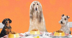 Kami Membuat Makanan Rumahan yang Lezat untuk Diri Sendiri. Mengapa Tidak Melakukan Hal yang Sama pada Anjing Kita?
| beritakitanih Kami Membuat Makanan Rumahan yang Lezat untuk Diri Sendiri. Mengapa Tidak Melakukan Hal yang Sama pada Anjing Kita?
| beritakitanih