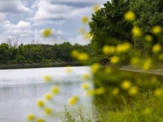 Melampaui 250 tahun: Sungai Minnesota mengalir melalui waktu dan sejarah
| beritakitanih Melampaui 250 tahun: Sungai Minnesota mengalir melalui waktu dan sejarah
| beritakitanih