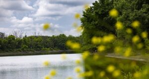 Melampaui 250 tahun: Sungai Minnesota mengalir melalui waktu dan sejarah
| beritakitanih Melampaui 250 tahun: Sungai Minnesota mengalir melalui waktu dan sejarah
| beritakitanih