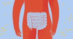 Mengapa orang dewasa muda yang sehat bisa terkena kanker usus besar? Para peneliti akhirnya bisa mendapatkan petunjuk
| beritakitanih Mengapa orang dewasa muda yang sehat bisa terkena kanker usus besar? Para peneliti akhirnya bisa mendapatkan petunjuk
| beritakitanih