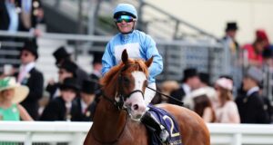 Musuh rahasia ini menambahkan Prix Jean Prat ke perolehan Ascot
| beritakitanih Musuh rahasia ini menambahkan Prix Jean Prat ke perolehan Ascot
| beritakitanih