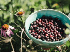 Orang-orang Midwestern ini sedang memanen buah beri
| beritakitanih Orang-orang Midwestern ini sedang memanen buah beri
| beritakitanih