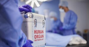 Organ anak laki-laki berusia 7 tahun yang mati otak memberikan kehidupan baru kepada enam pasien di Kerala
| beritakitanih Organ anak laki-laki berusia 7 tahun yang mati otak memberikan kehidupan baru kepada enam pasien di Kerala
| beritakitanih
