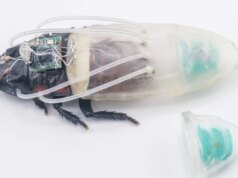 Pakaian selam baru yang dicetak 3D memungkinkan kecoa cyborg bernapas di bawah air selama tiga jam
| beritakitanih Pakaian selam baru yang dicetak 3D memungkinkan kecoa cyborg bernapas di bawah air selama tiga jam
| beritakitanih