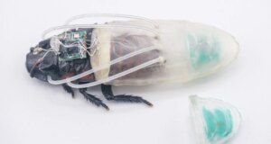 Pakaian selam baru yang dicetak 3D memungkinkan kecoa cyborg bernapas di bawah air selama tiga jam
| beritakitanih Pakaian selam baru yang dicetak 3D memungkinkan kecoa cyborg bernapas di bawah air selama tiga jam
| beritakitanih
