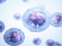Para ilmuwan membangun sel sintetis yang tumbuh, membelah, dan meneruskan DNA ke keturunannya
| beritakitanih Para ilmuwan membangun sel sintetis yang tumbuh, membelah, dan meneruskan DNA ke keturunannya
| beritakitanih