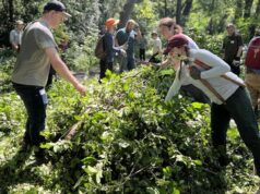 Para lajang memperdagangkan aplikasi kencan untuk menghilangkan buckthorn
| beritakitanih Para lajang memperdagangkan aplikasi kencan untuk menghilangkan buckthorn
| beritakitanih