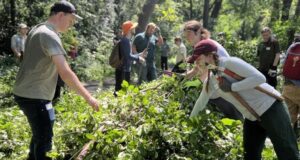 Para lajang memperdagangkan aplikasi kencan untuk menghilangkan buckthorn
| beritakitanih Para lajang memperdagangkan aplikasi kencan untuk menghilangkan buckthorn
| beritakitanih