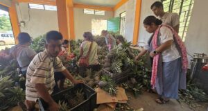 Para pedagang pinggir jalan berubah menjadi eksportir: para petani ‘terhitung’ di Meghalaya menuai hasil kerja mereka
| beritakitanih Para pedagang pinggir jalan berubah menjadi eksportir: para petani 'terhitung' di Meghalaya menuai hasil kerja mereka
| beritakitanih