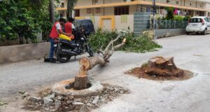 Perkelahian dalam keadaan mabuk menyebabkan penebangan pohon peepal dan jamun yang sudah dewasa di Hyderabad
| beritakitanih Perkelahian dalam keadaan mabuk menyebabkan penebangan pohon peepal dan jamun yang sudah dewasa di Hyderabad
| beritakitanih