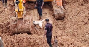 Puing-puing Wayanad tergelincir: Satu-satunya jenazah manajer proyek ditemukan; jumlah korban tewas meningkat menjadi delapan
| beritakitanih Puing-puing Wayanad tergelincir: Satu-satunya jenazah manajer proyek ditemukan; jumlah korban tewas meningkat menjadi delapan
| beritakitanih