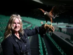 Rufus si elang berpatroli di klub tenis Wimbledon
| beritakitanih Rufus si elang berpatroli di klub tenis Wimbledon
| beritakitanih