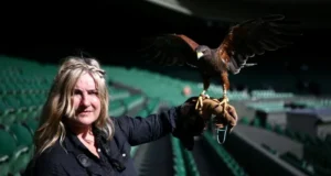 Rufus si elang berpatroli di klub tenis Wimbledon
| beritakitanih Rufus si elang berpatroli di klub tenis Wimbledon
| beritakitanih