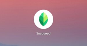 Snapseed 4.1 untuk Android diluncurkan dengan dukungan RAW yang ‘diperluas secara besar-besaran’
| beritakitanih Snapseed 4.1 untuk Android diluncurkan dengan dukungan RAW yang 'diperluas secara besar-besaran'
| beritakitanih