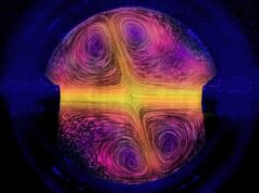 Solusi terhadap teka-teki alat penyiram terbalik Feynman juga berlaku untuk “alat penyiram konyol”
| beritakitanih Solusi terhadap teka-teki alat penyiram terbalik Feynman juga berlaku untuk "alat penyiram konyol"
| beritakitanih