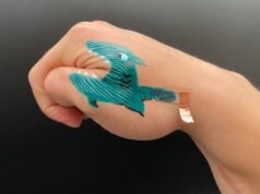 Tato elektronik yang dicat ini bisa menjadi masa depan biosensor yang dapat dipakai
| beritakitanih Tato elektronik yang dicat ini bisa menjadi masa depan biosensor yang dapat dipakai
| beritakitanih