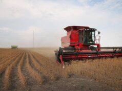 Temui program yang membantu petani pemula untuk memulai
| beritakitanih Temui program yang membantu petani pemula untuk memulai
| beritakitanih