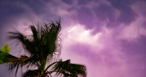 Weather Channel menaikkan harga langganan streaming hingga $20
| beritakitanih Weather Channel menaikkan harga langganan streaming hingga $20
| beritakitanih